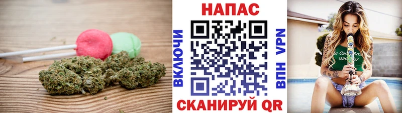 Canna-Cookies конопля что такое мега зеркало Болохово