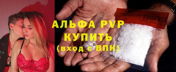 первитин Богданович