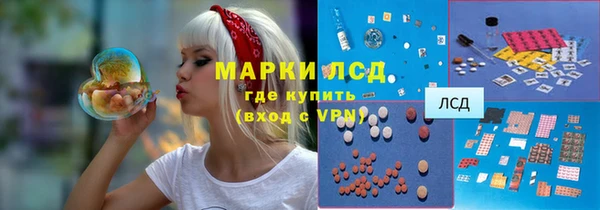 хмурый Белокуриха