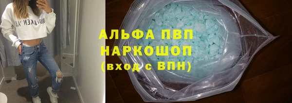 хмурый Белокуриха