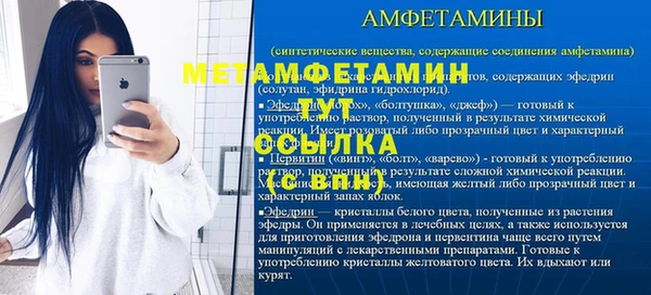 дурь Няндома