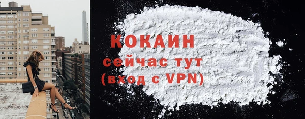 хмурый Белокуриха