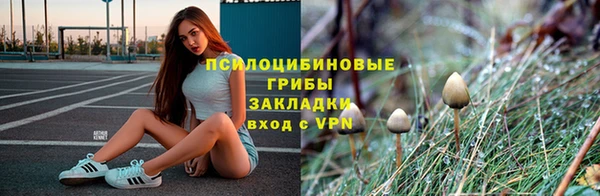 хмурый Белокуриха